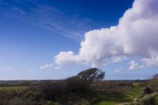 Dovecote Views